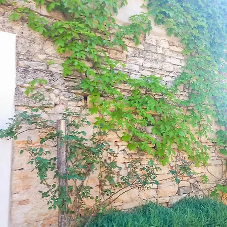 Orena * Žminj